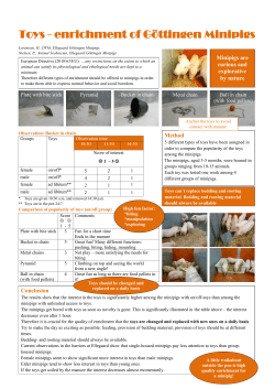 Toys - enrichment of G&ouml;ttingen Minipigs