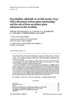 Pyrrolizidine alkaloids in arctiid moths (Lep.) with