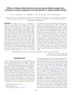 Effects of dietary protein levels during rearing and dietary energy