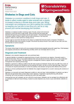 Diabetes is a common condition in both dogs and cats. It tends to