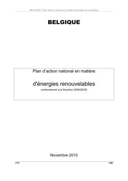 Le Plan d`action national en mati&egrave;re d`&eacute;nergies renouvelables