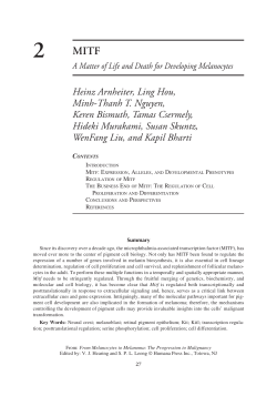 MITF A Matter of Life and Death for Developing Melanocytes Heinz