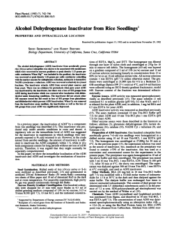 Alcohol Dehydrogenase Inactivator from Rice Seedlings`