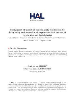 Involvement of microbial mats in early fossilization by