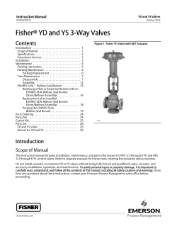 Fisher&reg; YD and YS 3-Way Valves - Emerson Process Management