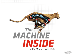 Untitled - The Field Museum