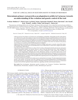 Determinate primary root growth as an adaptation