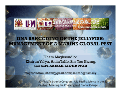 dna barcoding of the jellyfish: management of a