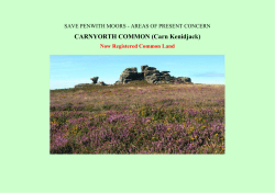 CARNYORTH COMMON - Save Penwith Moors