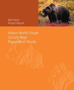 Yukon North Slope Grizzly Bear Population Study