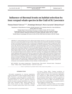 Influence of thermal fronts on habitat selection by four rorqual whale