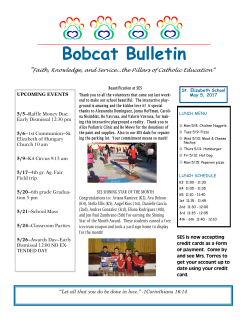 Bobcat Bulletin - St. Elizabeth Catholic School