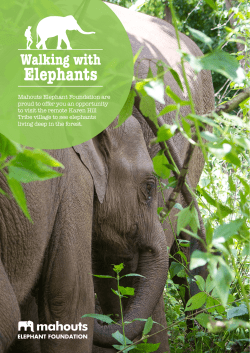 Information leaflet PDF - Mahouts Elephant Foundation
