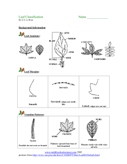 Leaf Classification