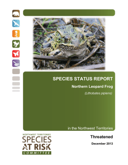 Status Report and Assessment of Northern Leopard Frog in the NWT