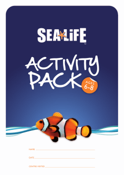 Activity Pack (6-8 years) - Chessington World of Adventures
