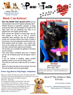 Black Cats/Kittens! - Beamsville4PawRescue