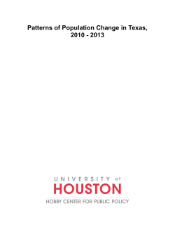 Patterns of Population Change in Texas, 2010 - 2013