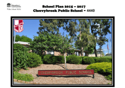 2015_17 School Plan - Cherrybrook Public School
