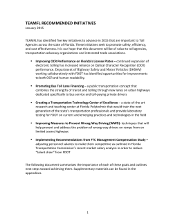 TEAMFL 2015 Recommended Initiatives, White Paper