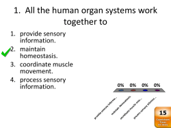 All the human organ systems work together to