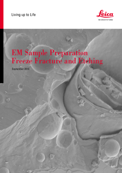 EM Sample Preparation Freeze Fracture and Etching