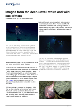 Images from the deep unveil weird and wild sea critters