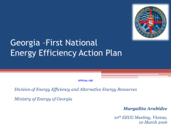 Georgia &ndash;First National Energy Efficiency Action Plan