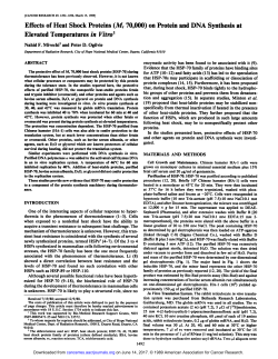 Effects of Heat Shock Proteins (Afr 70000) on