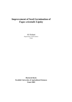 Improvement of Seed Germination of Fagus