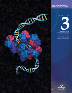 Protein-Nucleic Acid Interactions