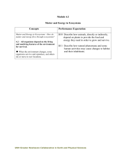 Module 4.2 Matter and Energy in Ecosystems Concepts