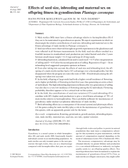 Effects of seed size, inbreeding and maternal sex on offspring fitness