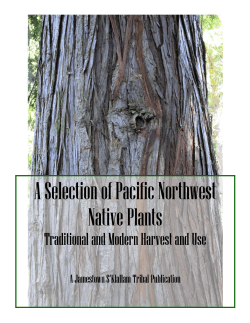 A Selection of Pacific Northwest Native Plants