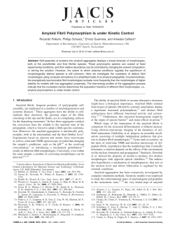 Amyloid Fibril Polymorphism Is under Kinetic Control