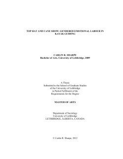 as a PDF