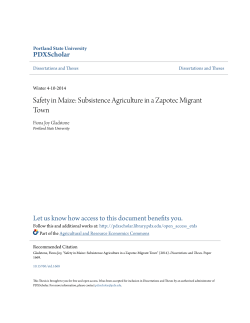 Safety in Maize: Subsistence Agriculture in a Zapotec