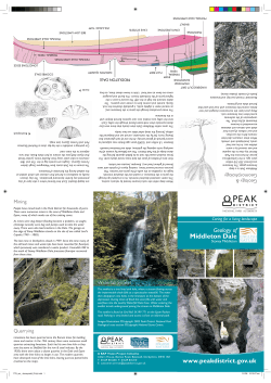 Geology of Middleton Dale - Peak District National Park Authority