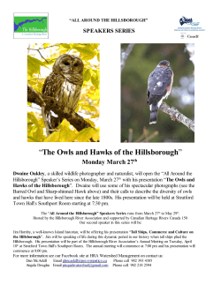 The Owls and Hawks of the Hillsborough