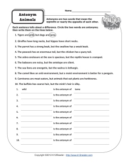 Antonyms and Animals | Antonym Worksheets