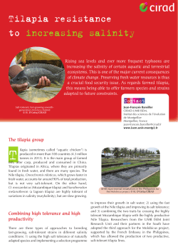 Tilapia resistance to increasing salinity