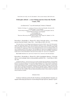 Psilocybe allenii &ndash; a new bluing species from the Pacific Coast, USA