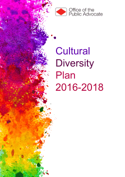Cultural Diversity Plan 2016-2018