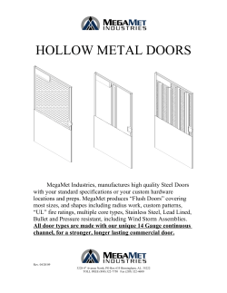 hollow metal doors - Megamet Industries