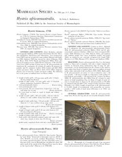 Hystrix africaeaustralis. By Erika L. Barthelmess