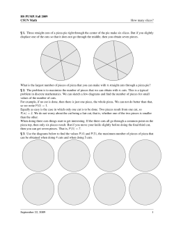 How many pizza slices?