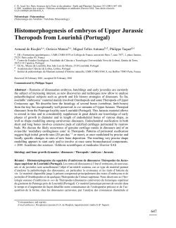 Histomorphogenesis of embryos of Upper Jurassic Theropods from