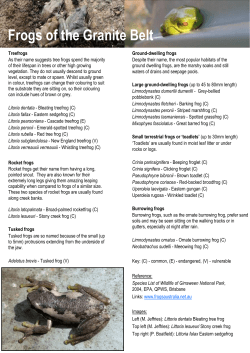 Frogs of the Granite Belt - Granite Belt Wildlife Carers