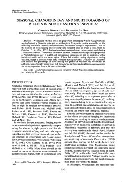 Seasonal Changes in Day and Night Foraging of Willets in