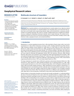 Multiscale structure of meanders